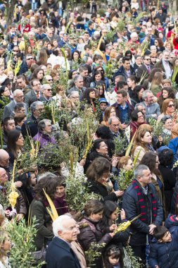 PONTEVEDRA, SPAIN - MARCH 29, 2015: Detail of person participating in the celebration of Palm Sunday before Easter, waiting for the blessing of olive branches and palm..