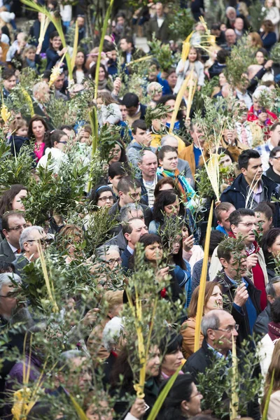 PONTEVEDRA, SPAIN - MARCH 29, 2015: Detail of person participating in the celebration of Palm Sunday before Easter, waiting for the blessing of olive branches and palm..