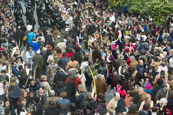 PONTEVEDRA, SPAIN - MARCH 29, 2015: Detail of person participating in the celebration of Palm Sunday before Easter, waiting for the blessing of olive branches and palm..