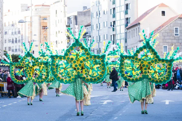 Pontevedra Spain February 2016 People Dressed Parade Held City Winter — Stock Fotó