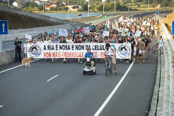 庞特维德拉 西班牙 2015 详细的环境抗议持久性的 Ria 德庞特维德拉的纸浆工业 — 图库照片