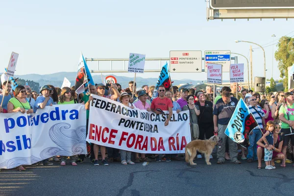 Pontevedra Španělsko Červen 2015 Detail Environmentálních Protestů Proti Neměnnosti Celulózového — Stock fotografie