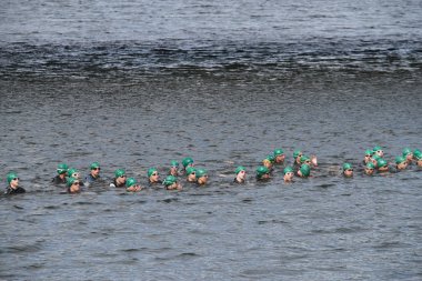Pontevedra, İspanya - 22 Mayıs 2016: Şampiyonası İspanya triatlon röle katılımcıların detay şehirde düzenlenen.