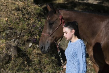 Pontevedra, İspanya - 21 Ağustos 2016: Escusa köyünde, dağdan getirilen vahşi atlar. Eyaletin dört bir yanından gelen atlılar ve çiftçiler.