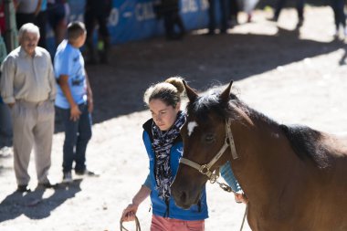 Pontevedra, İspanya - 21 Ağustos 2016: Escusa köyünde, dağdan getirilen vahşi atlar. Eyaletin dört bir yanından gelen atlılar ve çiftçiler.