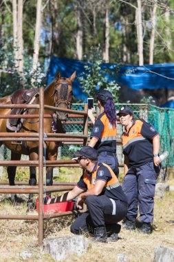 Pontevedra, İspanya - 21 Ağustos 2016: Escusa köyünde, dağdan getirilen vahşi atlar. Eyaletin dört bir yanından gelen atlılar ve çiftçiler.