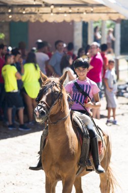 Pontevedra, İspanya - 21 Ağustos 2016: Escusa köyünde, dağdan getirilen vahşi atlar. Eyaletin dört bir yanından gelen atlılar ve çiftçiler.