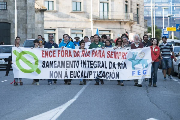Pontevedra Spain June 2016 Demonstration Permanent Ence Pulp Industry Estuary — 图库照片