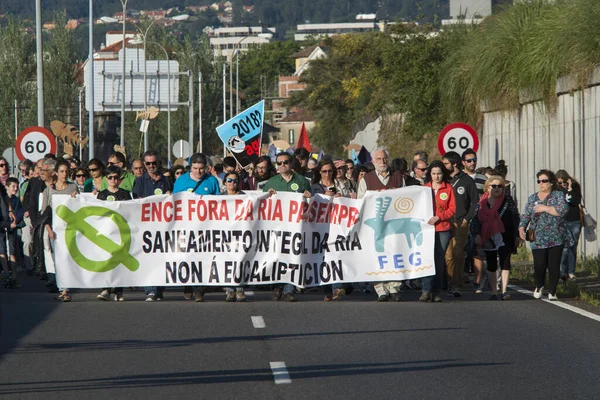 Pontevedra Spanien Juni 2016 Demonstration Gegen Die Dauerhaftigkeit Der Zellstoffindustrie — Stockfoto