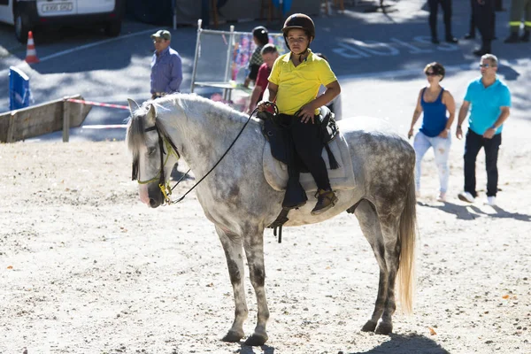 Pontevedra Spain August 2016 Fair Horse Village Escusa Brought Mountain — Stock Photo, Image