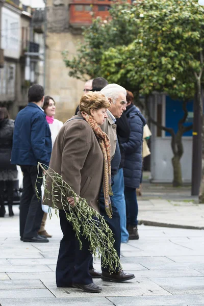 Pontevedra Spanya Mart 2015 Paskalya Dan Önceki Palm Sunday Kutlamaları — Stok fotoğraf