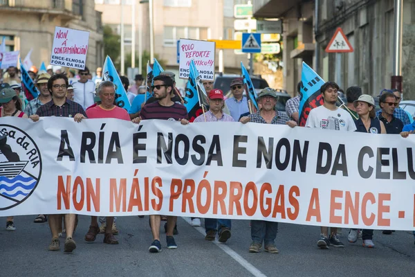 Pontevedra Spanya Haziran 2015 Çevre Protesto Ria Pontevedra Hamuru Sektöründe — Stok fotoğraf