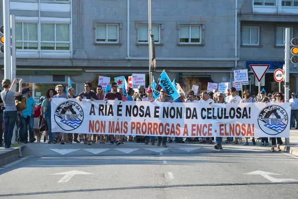 Pontevedra Spain June 2015 Detail Environmental Protest Permanence Pulp Industry — Stock Photo, Image
