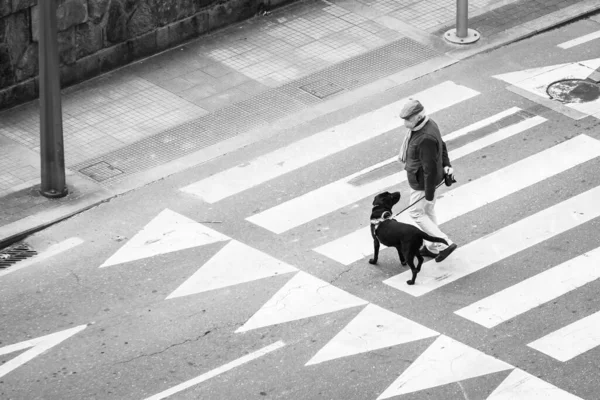 Pontevedra Spain 2020年3月28日 一名戴面具的男子与他的狗一起行走 这是在因大脑皮层病毒大流行而导致的警戒状态下发生的 — 图库照片
