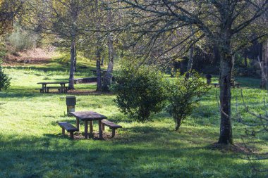 Santa Eulalia de Oscos, Asturias 'ta piknik masaları olan küçük bir park.)