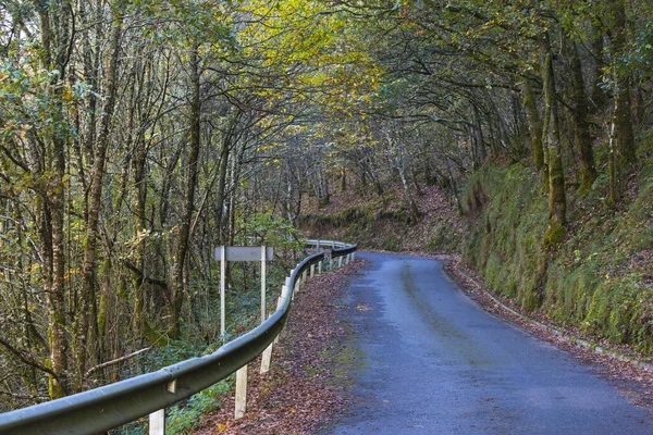 Górska Droga Jesienią Opadłymi Liśćmi Bokach Lugo Galicja Hiszpania — Zdjęcie stockowe