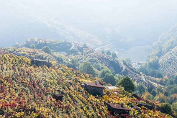 Ribeira Sacra Ett Område Som Omfattar Stränderna Floderna Cabe Sil — Stockfoto