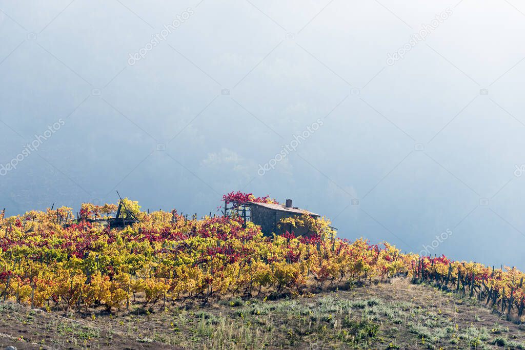 Ribeira Sacra is an area that includes the banks of the Cabe, Sil and Minho rivers, in the southern part of the province of Lugo and the north of the province of Orense, in Galicia, Spain
