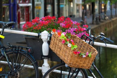 DELFT, NETHERLANDS - 6 Temmuz 2015: Yapay çiçeklerle süslenmiş bir sepetli park edilmiş bir bisiklet.
