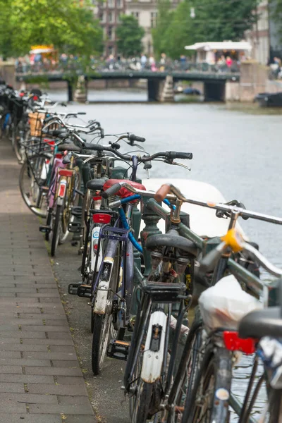 Amsterdam Niederlande Juli 2015 Mehrere Fahrräder Die Einer Kanalseite Abgestellt — Stockfoto