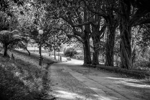 Public Gardens Palace Lourizan Stately Home Located Herbalonga Place Parish — Stock Photo, Image