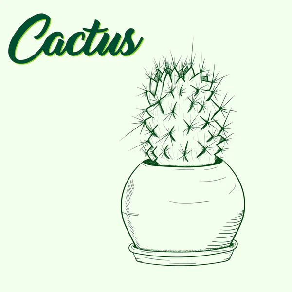Hintergrund mit einem grünen Kaktus in einem von Hand gezogenen Topf — Stockvektor