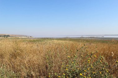 Odessa Kuyalnitsky Haliç gün batımında