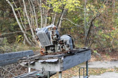 Çernobil dışlama bölgesi garip şey