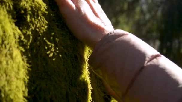 Hände von Mann und Frau berühren Moos-Teppichwand an der Nordseite des Baumes — Stockvideo