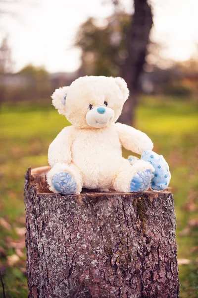 Bear on the leaves — Stock Photo, Image