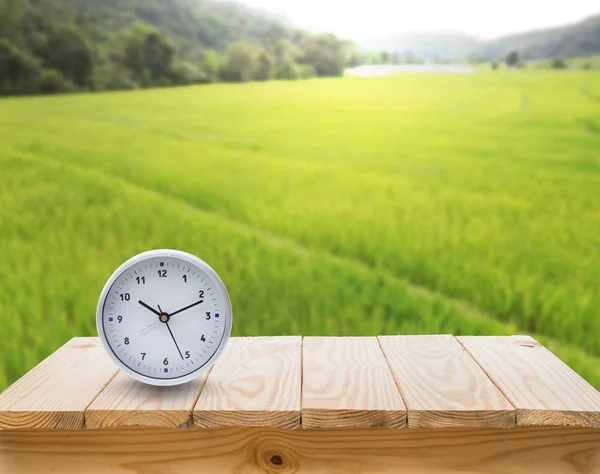 Reloj Sobre Tabla Madera Con Fondo Campos Verdes — Foto de Stock