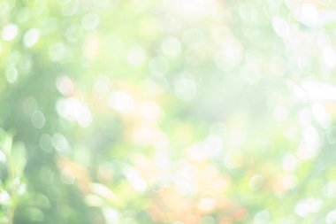 Soyut bulanık yeşil doğa bokeh arkaplan