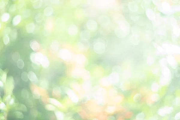 Soyut bulanık yeşil doğa bokeh arkaplan — Stok fotoğraf