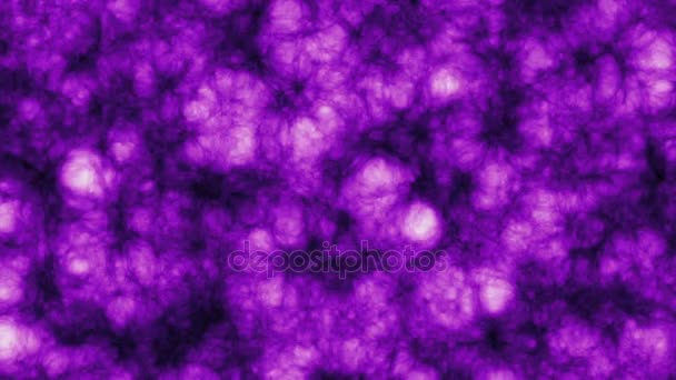 Lava caliente que fluye - púrpura — Vídeo de stock