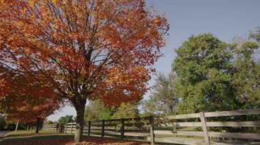 Sonbahar ağaç geniş Bölüm 1, çekim