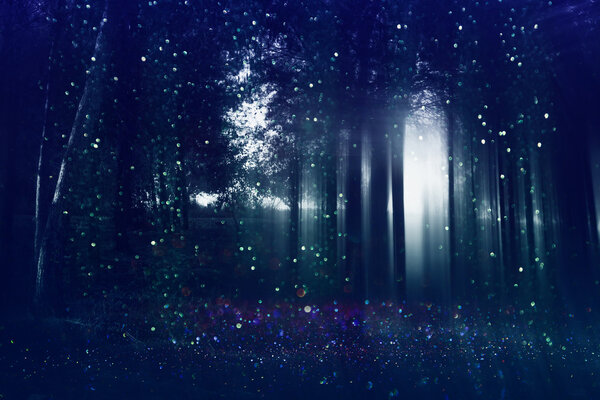 Abstract and mysterious background of blurred forest. Filtered image. Halloween concep