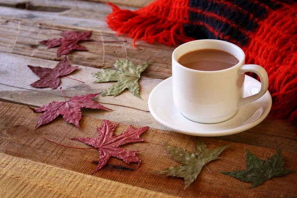 Tasse heiße Schokolade und Strickdecke — Stockfoto