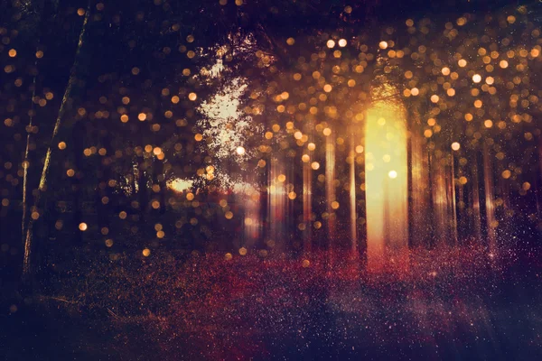 Abstract and mysterious background of blurred forest — Stock Photo, Image