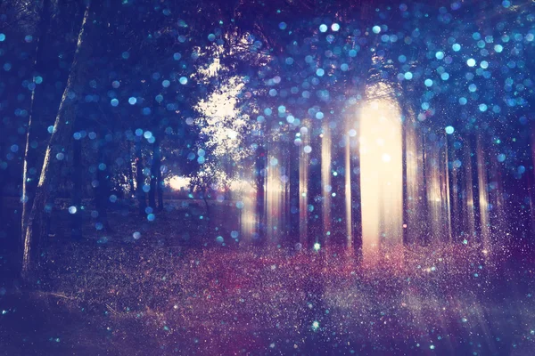 Abstract and mysterious background of blurred forest — Stock Photo, Image