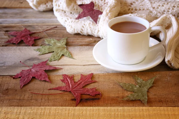 Cup of hot chocolate, autumn leaves and knitted sweater — Stock Photo, Image