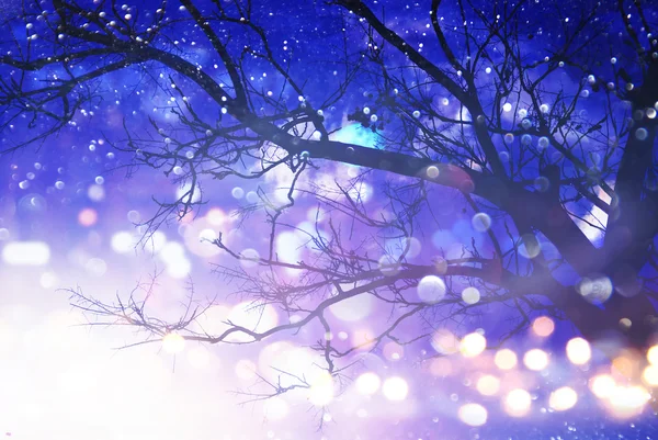 Abstraktní a kouzelný obrázek stromu s třpyt světel — Stock fotografie