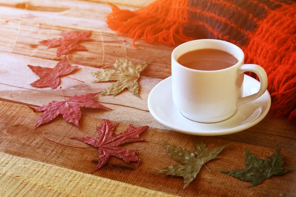 Tasse heiße Schokolade, Herbstblätter und Strickdecke — Stockfoto