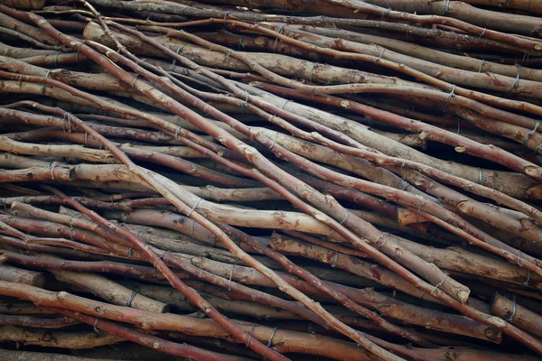 Közelkép kép a sok fa ágai természetes minta létrehozása — Stock Fotó