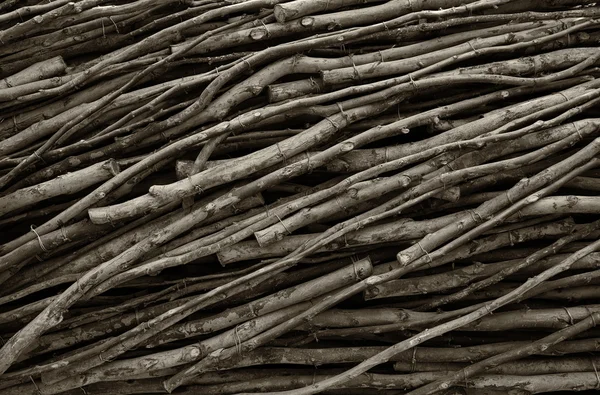 Muitos galhos de árvores criando padrão natural — Fotografia de Stock