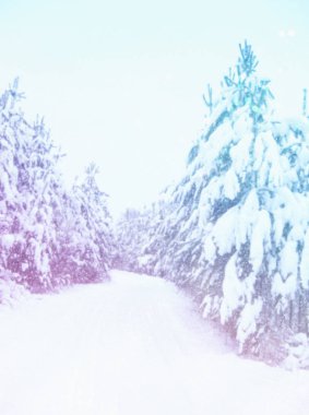 sihirli kış manzara fotoğraf.