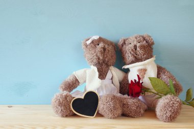 şirin oyuncak ayılar 