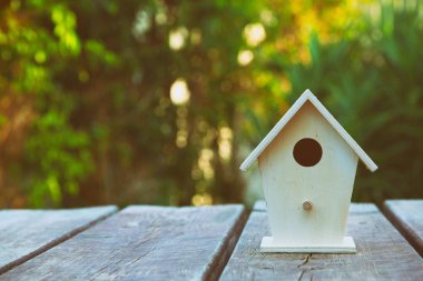 Bahar küçük kuş yuvası