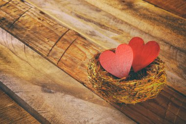 Birkaç kuş yuva içinde kırmızı Kalpler