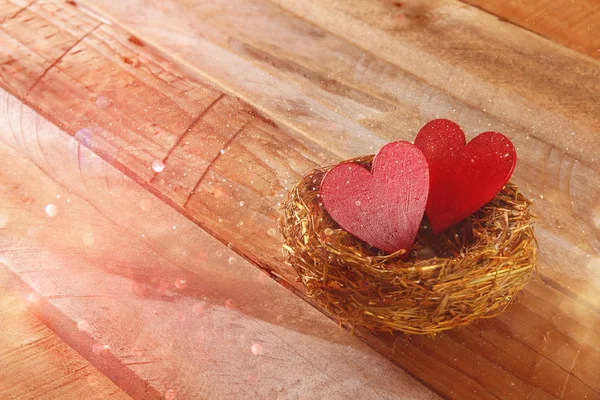 Пара красных сердец в птичьем гнезде — стоковое фото
