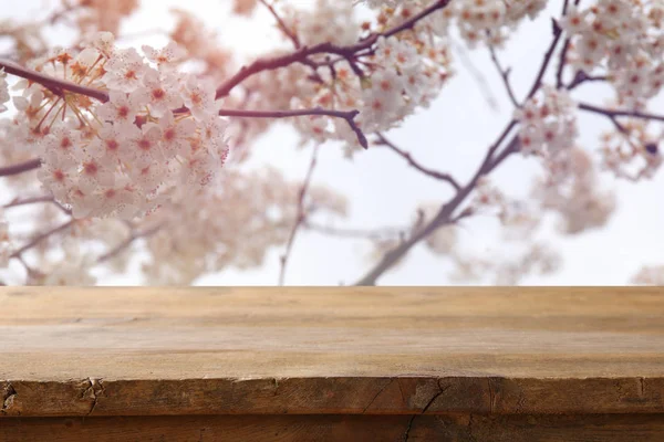 Holztisch vor weißem Kirschbaum — Stockfoto